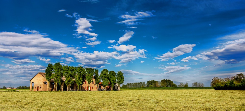 Scorcio della campagna cremonese (dal sito cremonacitta.it)